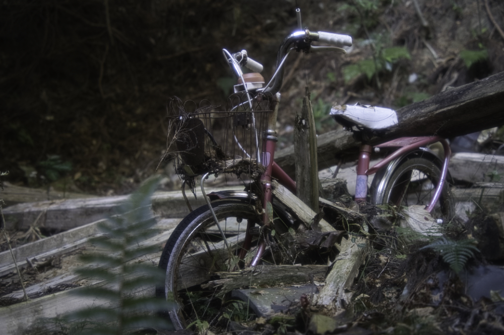 f:id:haikutu:20210129185305j:plain
