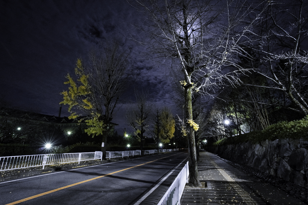 f:id:haikutu:20210218035205j:plain