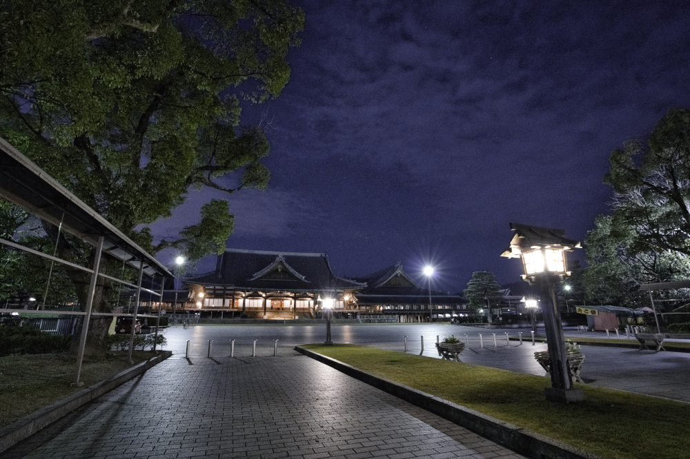 f:id:haikutu:20210218035439j:plain
