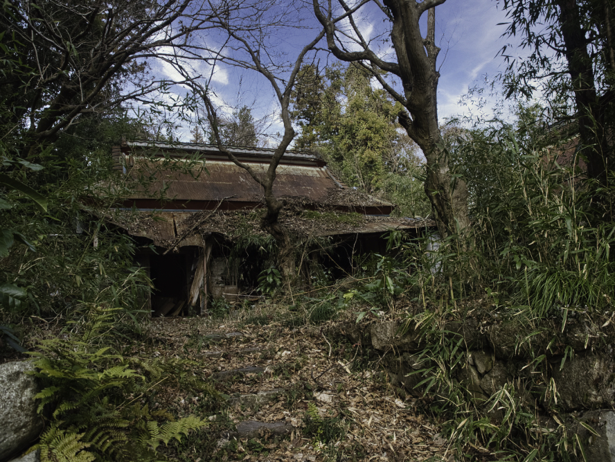 f:id:haikutu:20210224182155j:plain