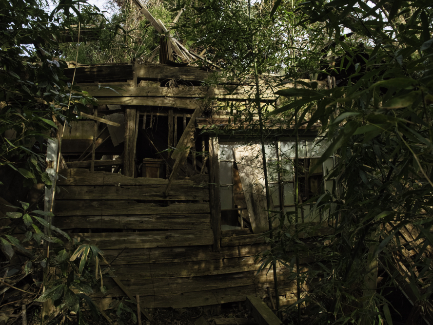 f:id:haikutu:20210224213020j:plain