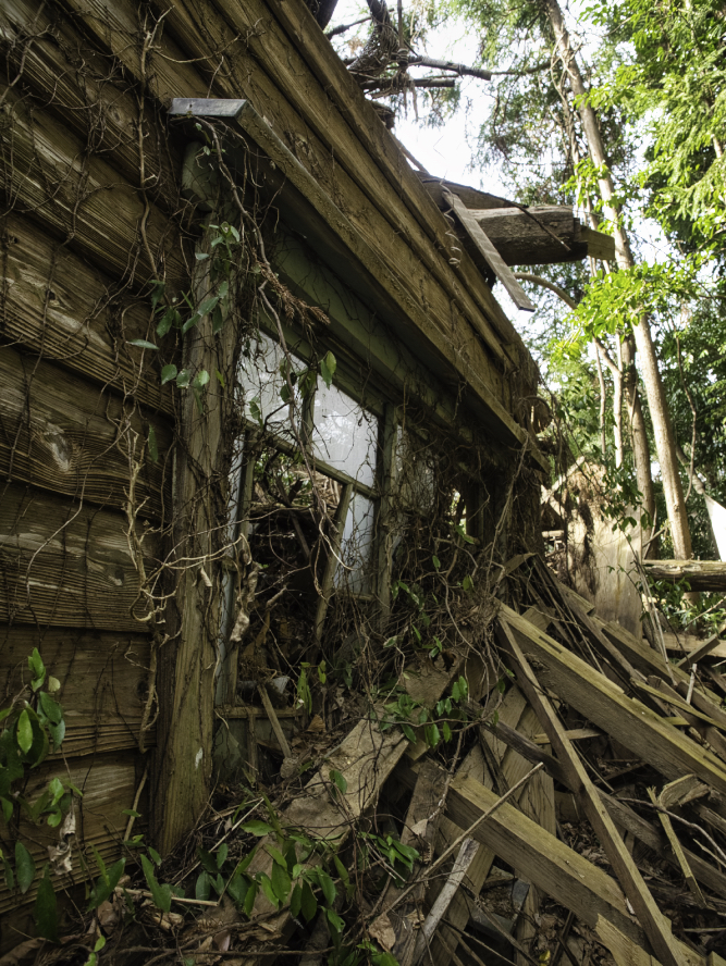 f:id:haikutu:20210224213023j:plain