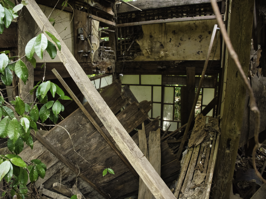 f:id:haikutu:20210224213051j:plain