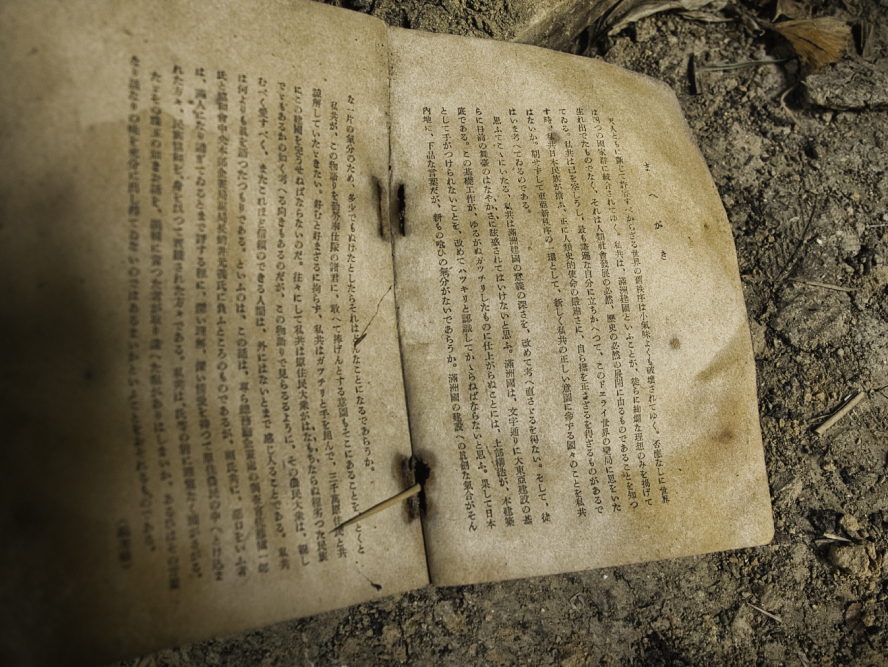 f:id:haikutu:20210224220455j:plain