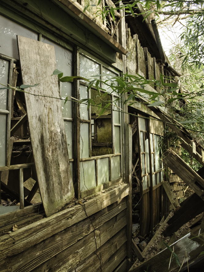 f:id:haikutu:20210224222939j:plain