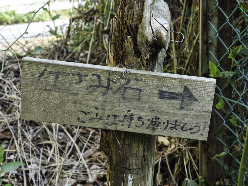 f:id:haikutu:20210407113214j:plain