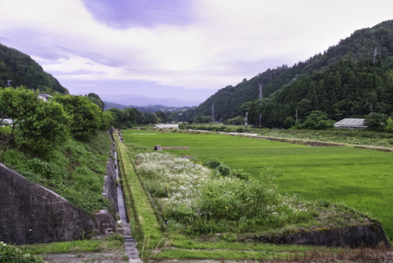 f:id:haikutu:20210407150257j:plain