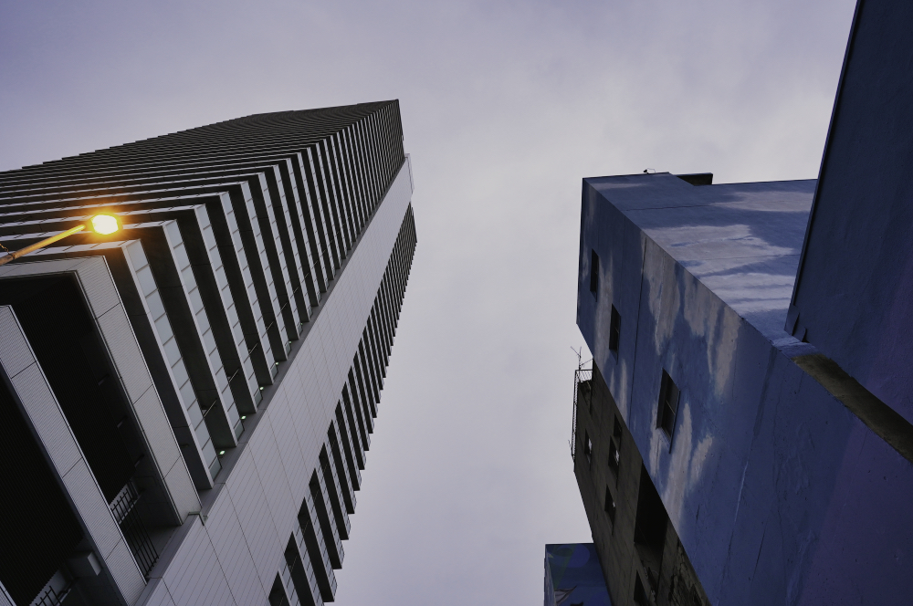 f:id:haikutu:20210423205556j:plain