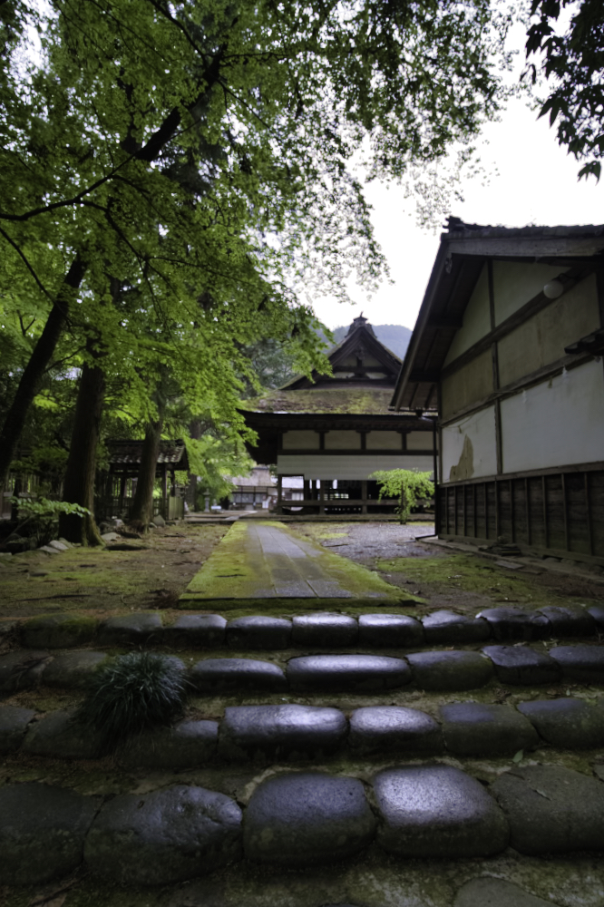 f:id:haikutu:20210427000740j:plain