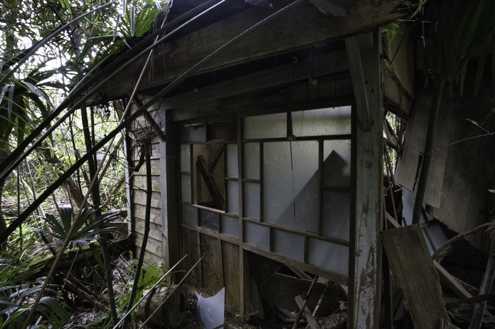f:id:haikutu:20210427000821j:plain