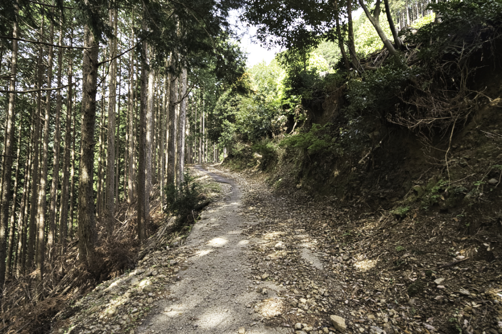 f:id:haikutu:20210504202350j:plain