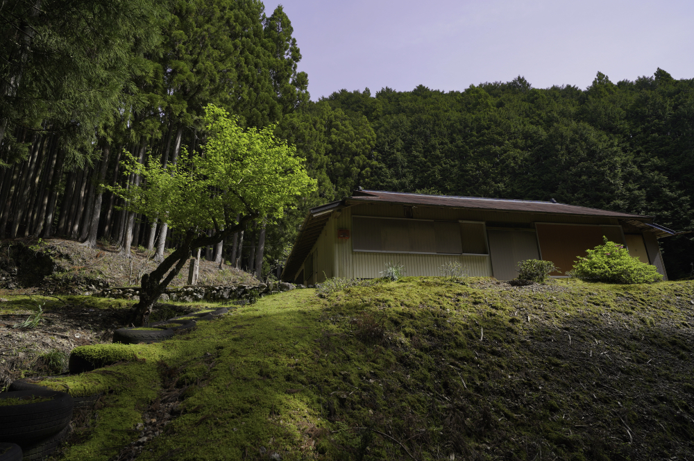 f:id:haikutu:20210504202601j:plain