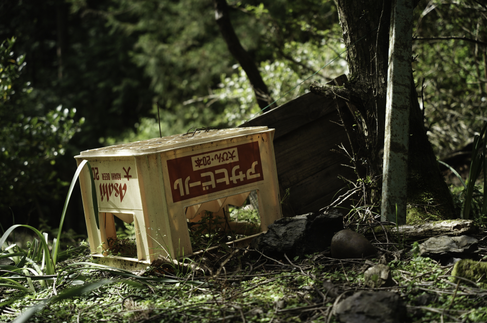 f:id:haikutu:20210508005658j:plain