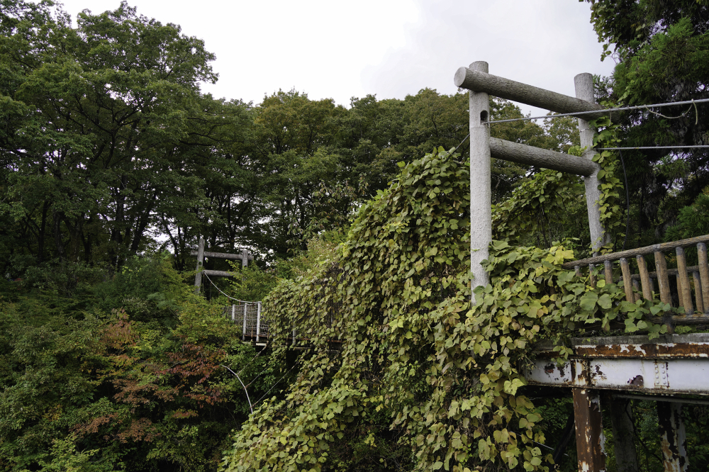 f:id:haikutu:20210508022657j:plain