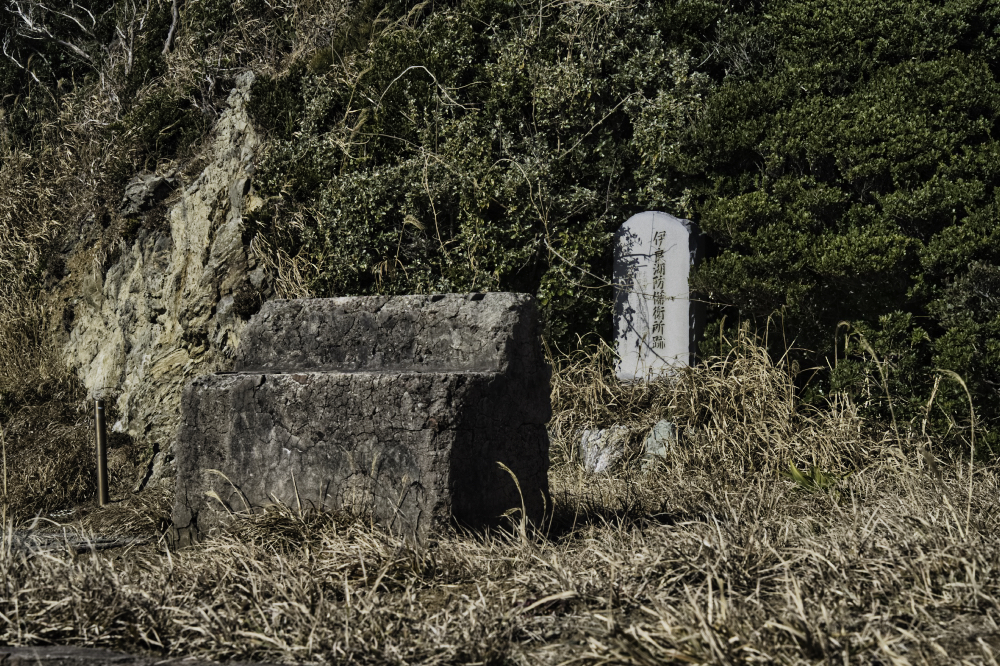 f:id:haikutu:20210508075145j:plain
