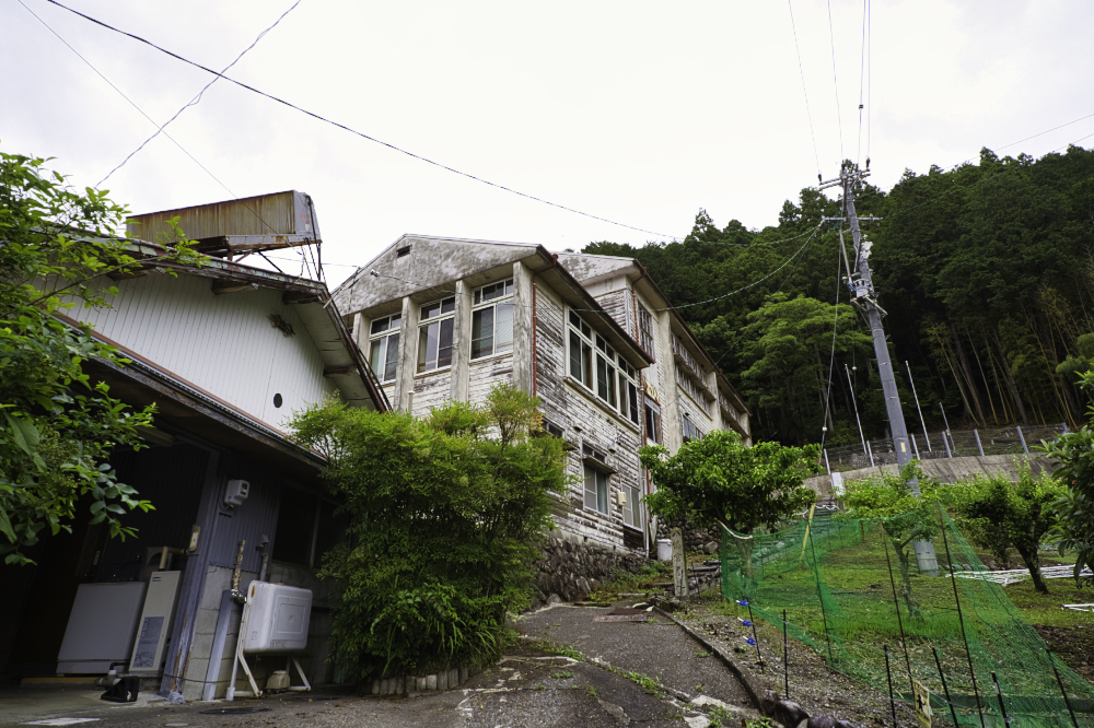 f:id:haikutu:20210602000316j:plain