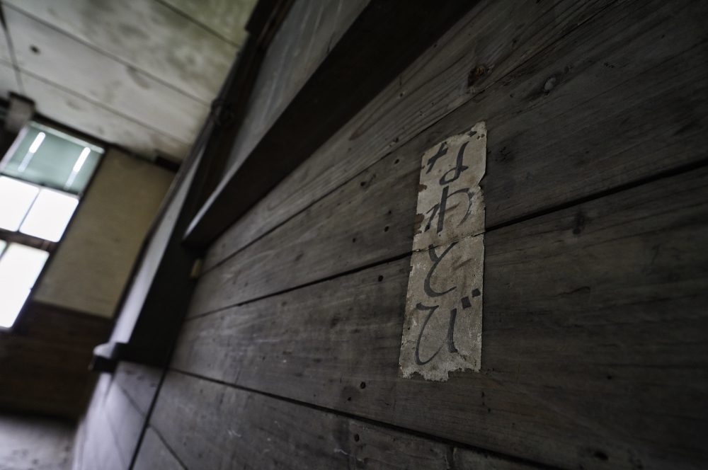 f:id:haikutu:20210602015150j:plain