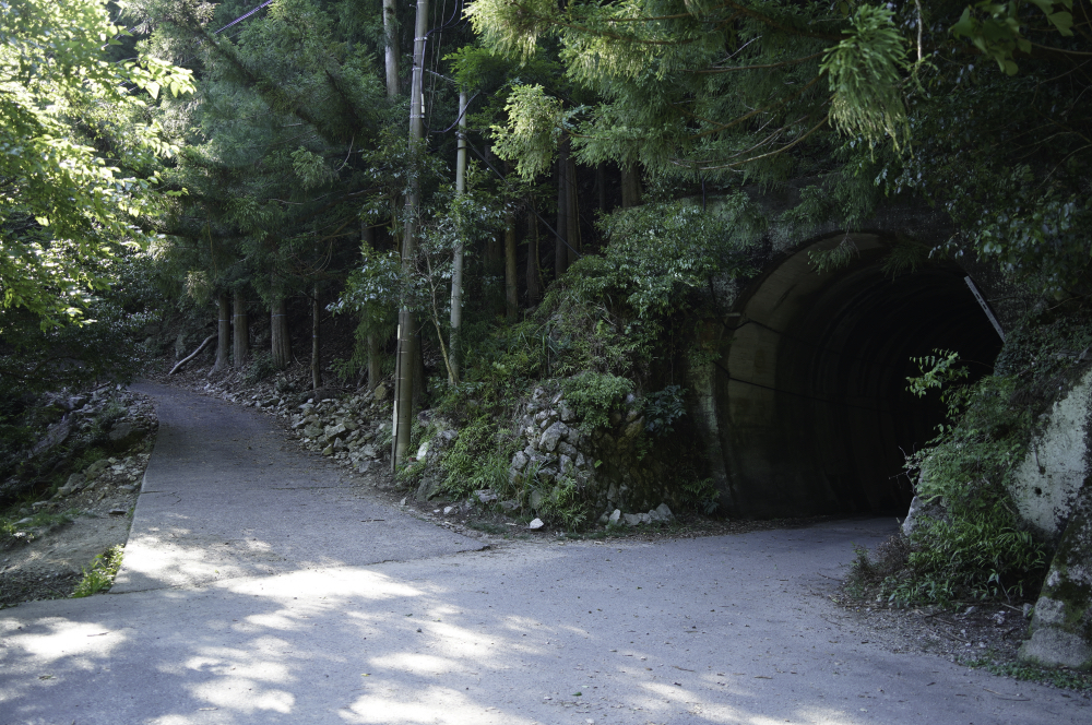 f:id:haikutu:20210604103737j:plain