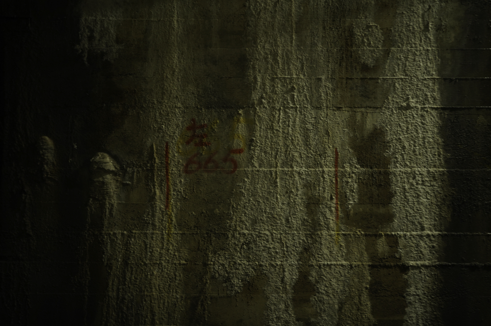 f:id:haikutu:20210604110642j:plain