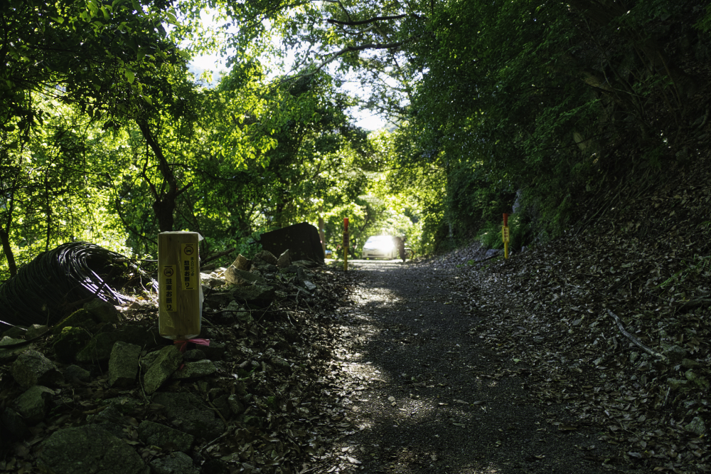 f:id:haikutu:20210604120607j:plain