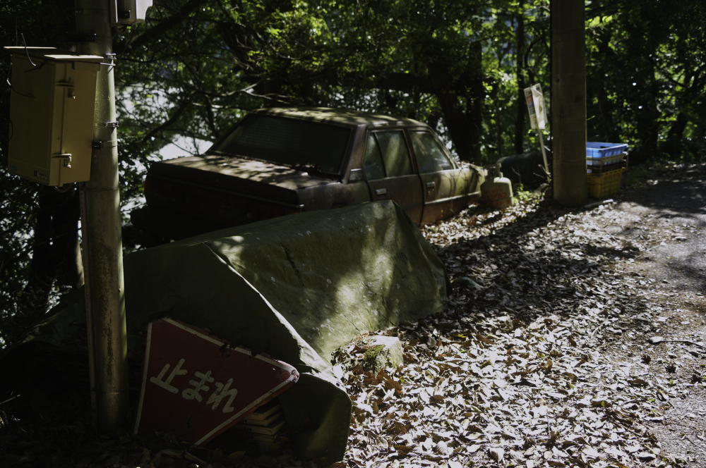 f:id:haikutu:20210604120612j:plain