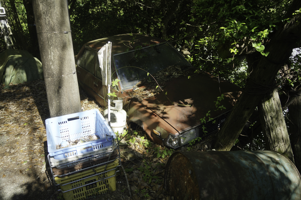 f:id:haikutu:20210604120616j:plain