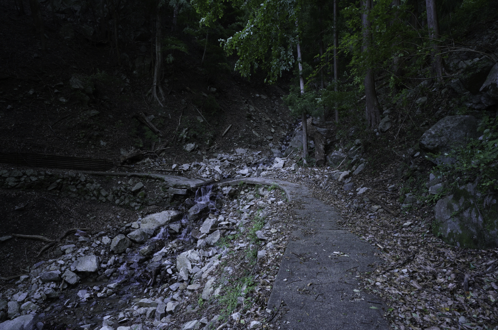 f:id:haikutu:20210604120809j:plain