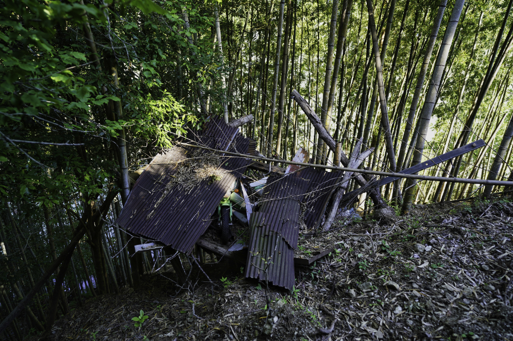 f:id:haikutu:20210604121308j:plain