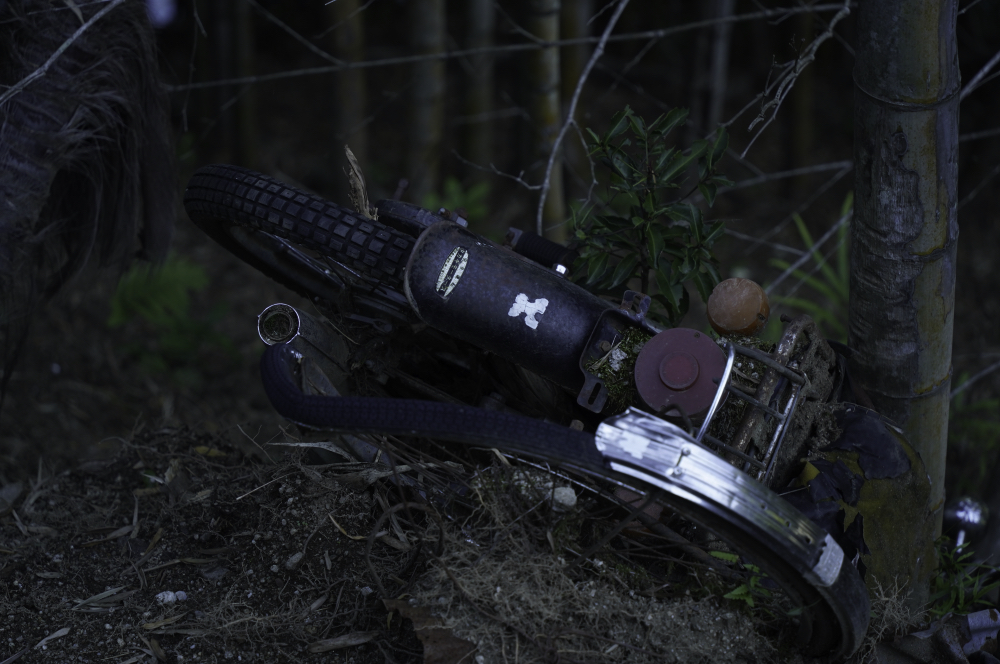 f:id:haikutu:20210604121311j:plain