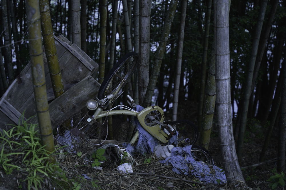 f:id:haikutu:20210604121315j:plain