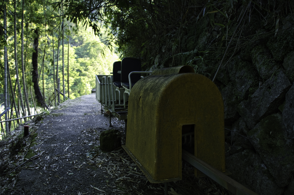 f:id:haikutu:20210604121434j:plain