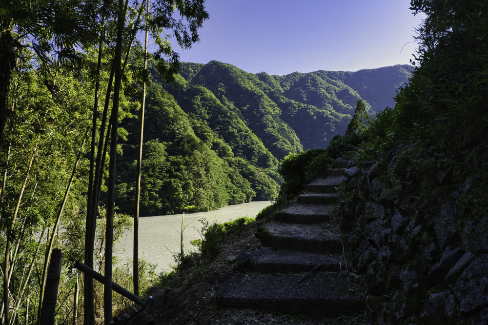 f:id:haikutu:20210604121938j:plain