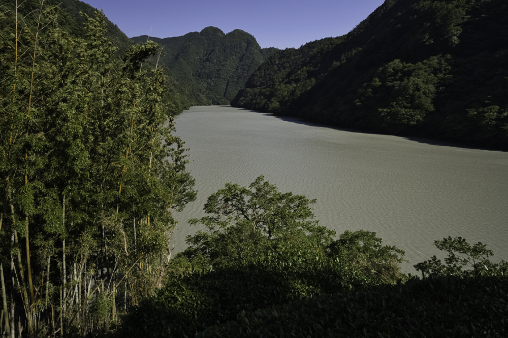 f:id:haikutu:20210604122549j:plain