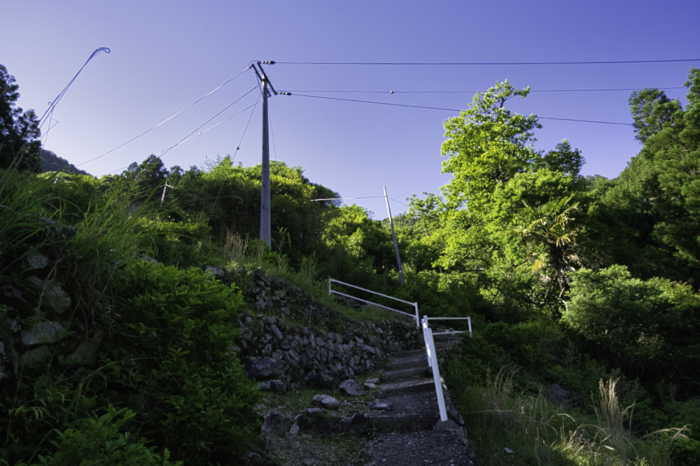 f:id:haikutu:20210617174610j:plain