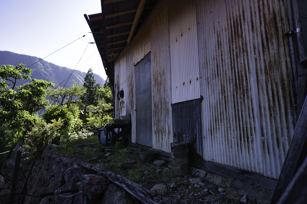 f:id:haikutu:20210617174647j:plain