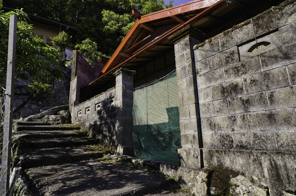 f:id:haikutu:20210617174716j:plain