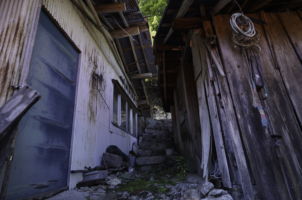 f:id:haikutu:20210617174723j:plain