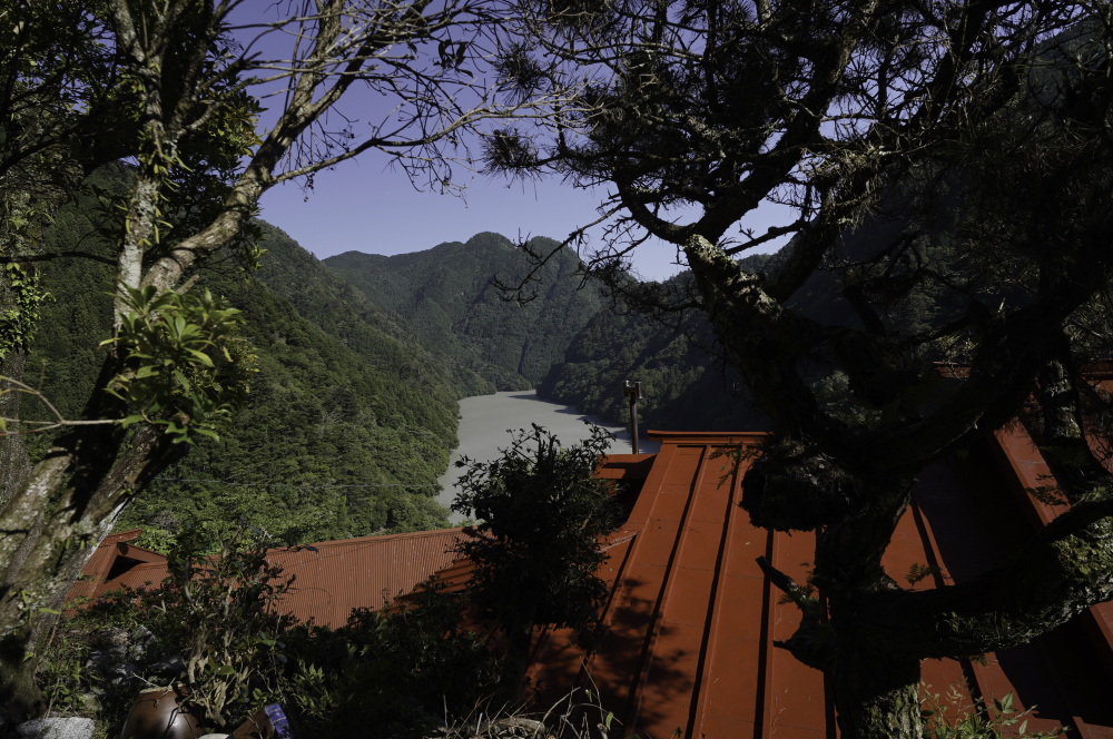 f:id:haikutu:20210617174741j:plain