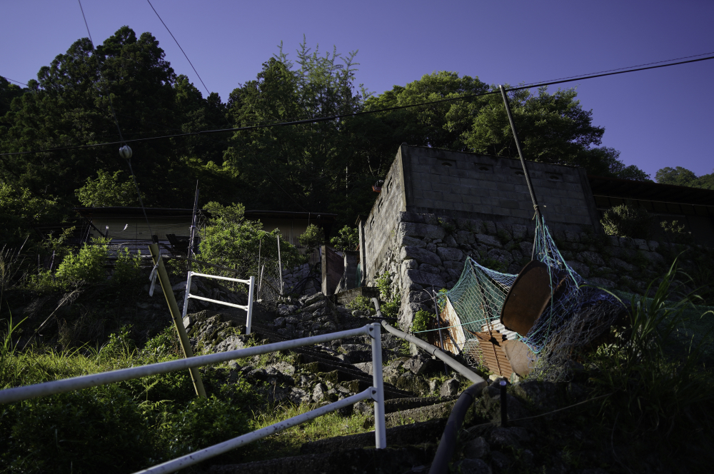 f:id:haikutu:20210617174945j:plain