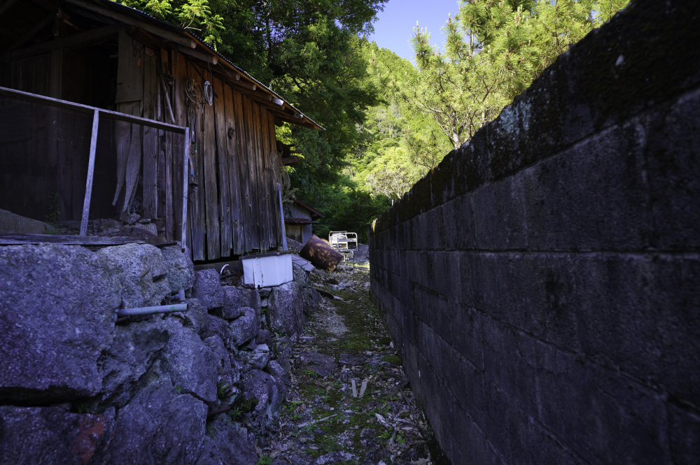 f:id:haikutu:20210617180824j:plain