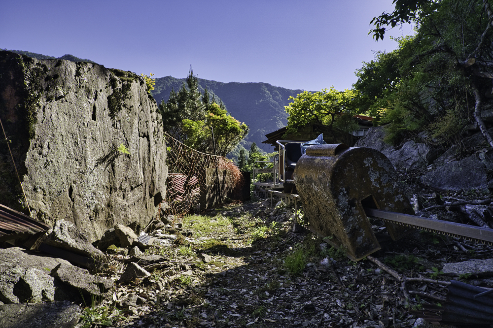 f:id:haikutu:20210617182242j:plain