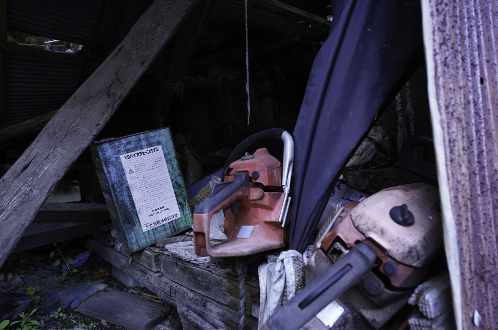 f:id:haikutu:20210617182247j:plain