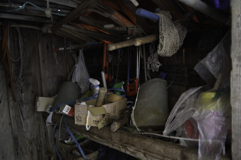 f:id:haikutu:20210617184925j:plain