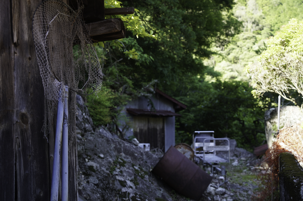 f:id:haikutu:20210617184952j:plain