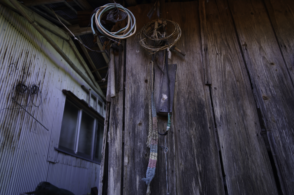 f:id:haikutu:20210617184958j:plain