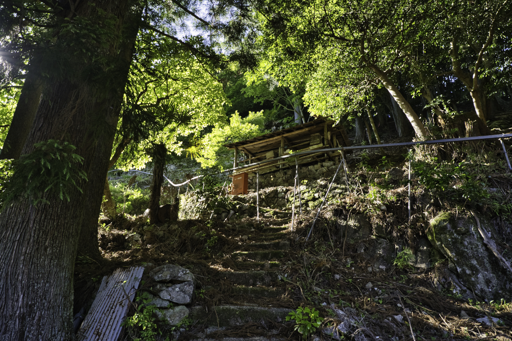 f:id:haikutu:20210617185010j:plain