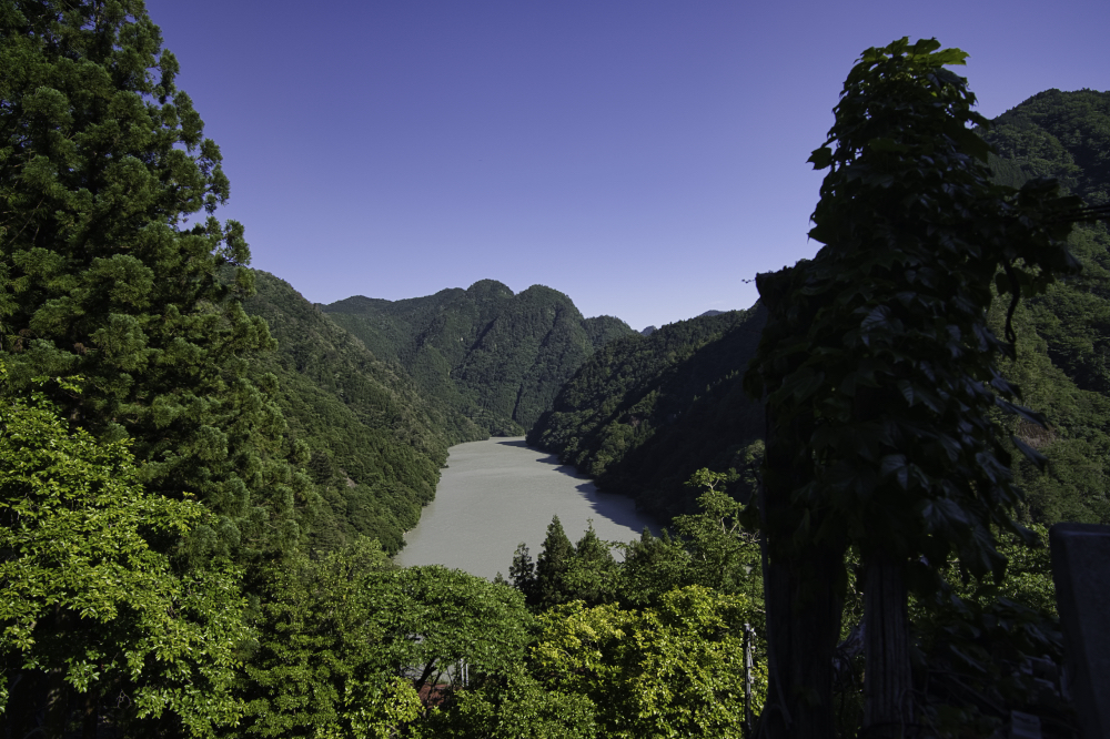 f:id:haikutu:20210617193428j:plain