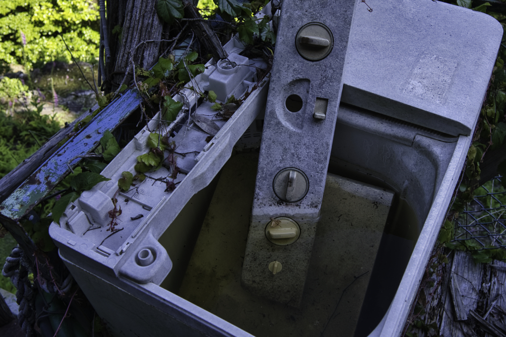 f:id:haikutu:20210617193934j:plain