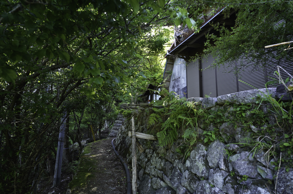 f:id:haikutu:20210617201143j:plain