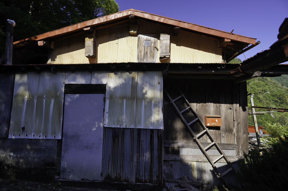 f:id:haikutu:20210617201237j:plain